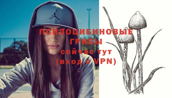 jwh Алексеевка
