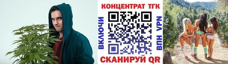Купить где  Сатка  Дистиллят ТГК концентрат 